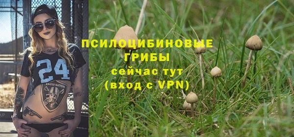 мяу мяу мука Ладушкин