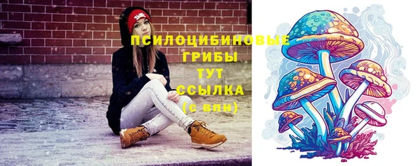 мяу мяу мука Ладушкин