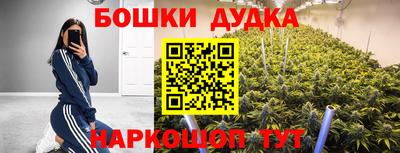 гидропоника Балахна