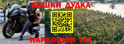 прущие крисы Бийск
