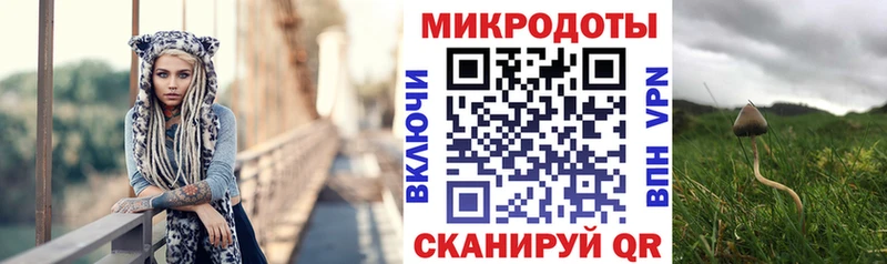 Псилоцибиновые грибы ЛСД  KRAKEN онион  Кинешма 