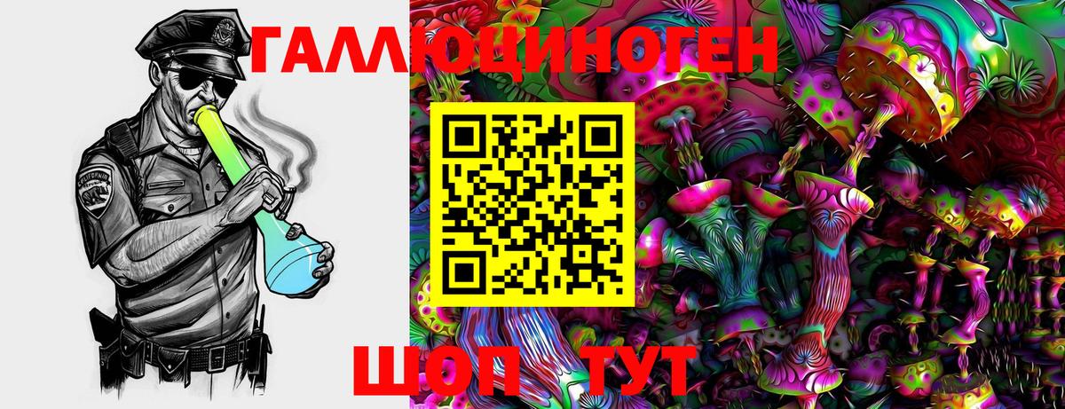 Кинешма  Галлюциногенные грибы Magic Shrooms  Вход с VPN  Псилоцибиновые грибы прущие грибы 