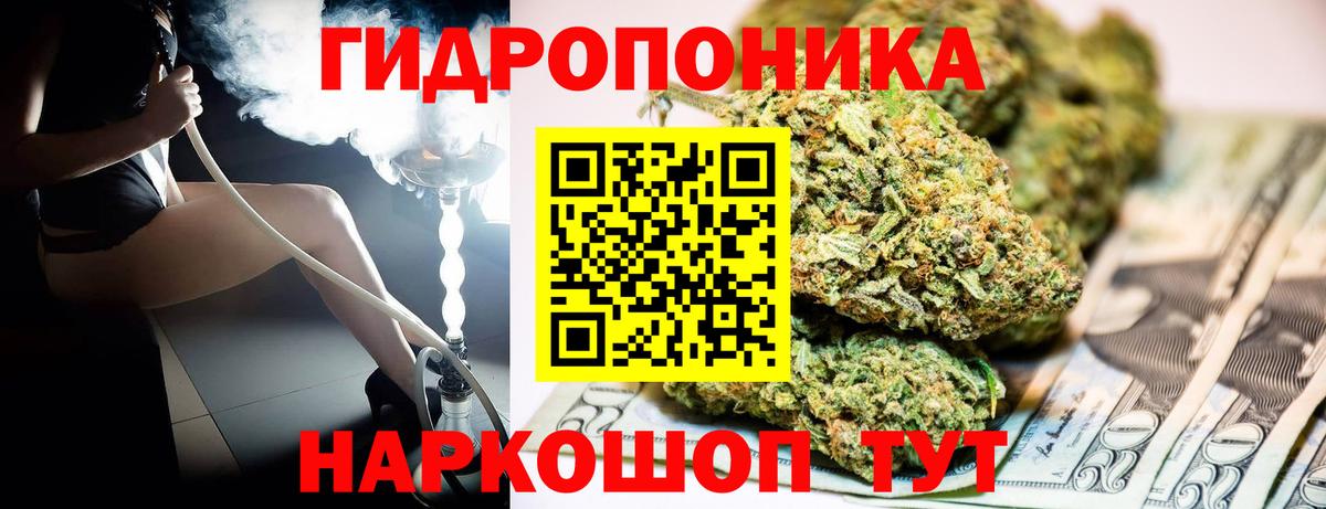 Бошки марихуана ГИДРОПОН Кинешма